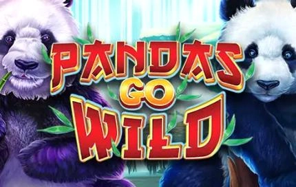 Pandas-Go-Wild